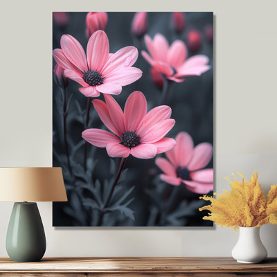 Monochromes roses et noires, photo I - marguerites, art mural