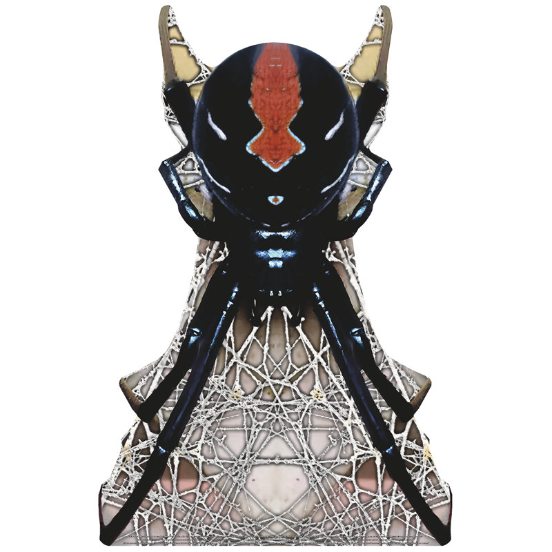 Araignée géante en forme de veuve noire