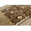 Chantel Oriental Area Rug in Brown/Green
