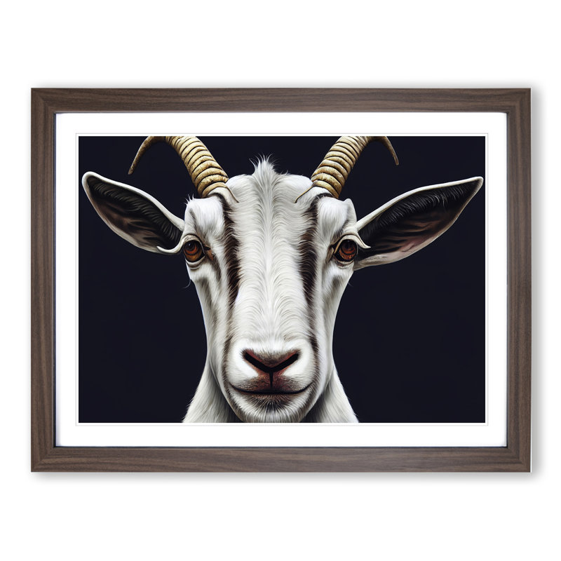 Goat Portrait Vol.2 - Single Picture Frame Print
