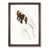 Walnut Framed