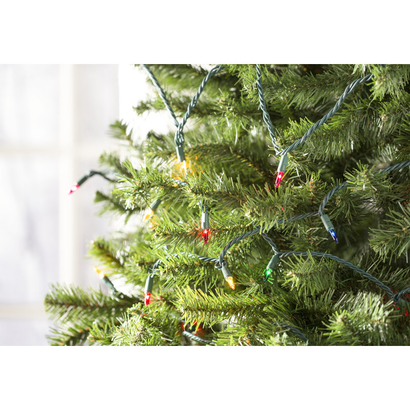 606'' String Lights, Multi