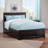 Henrichs Solid Wood Platform Bed with Trundle-303441986-286466467