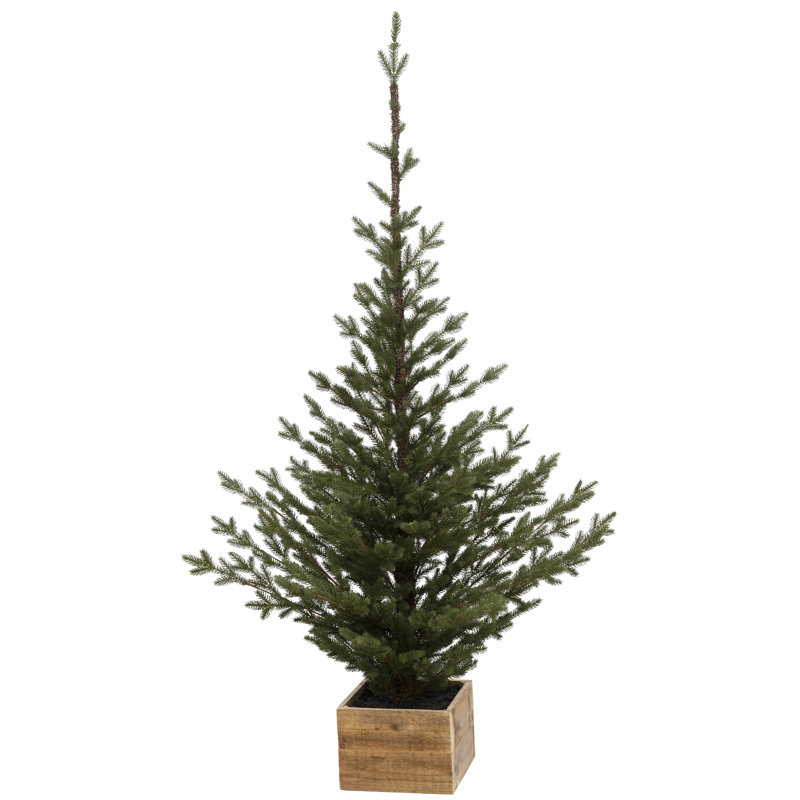 Pinetree In Box, Large - 71 pouces