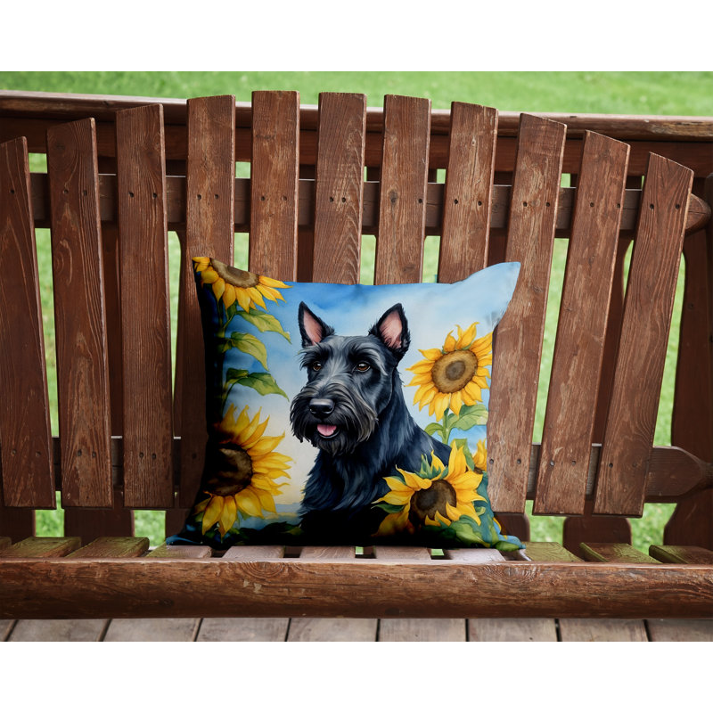 Coussin décoratif intérieur / extérieur Autre / Sans motif, H 14 po x l 14 po
