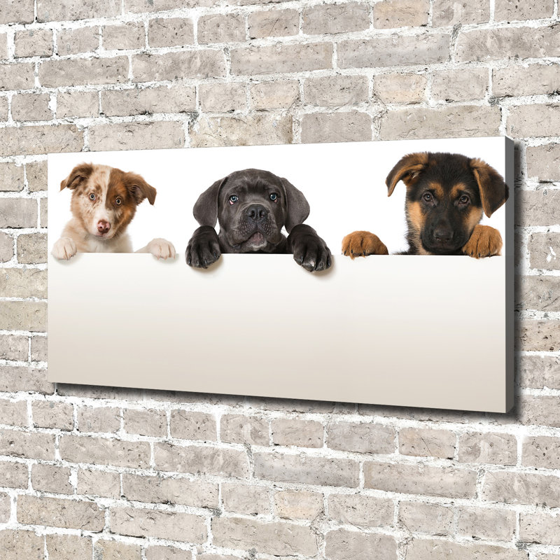Three Puppies - Print, 70cm H x  140cm W x 2cm D, Canvas