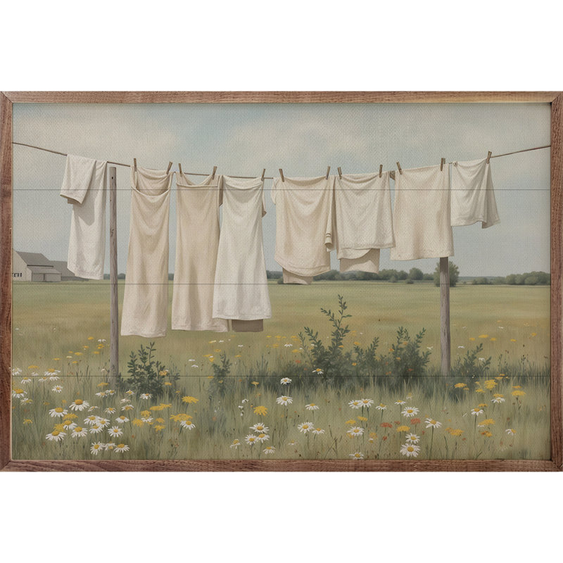 Blanchisserie sur la corde à linge, H 24 po x l 36 po