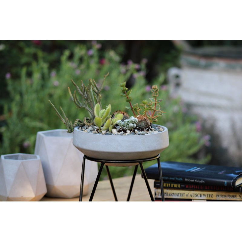 Pot de fleurs sphérique bas géométrique en béton (lot de 4) - Intérieur/Extérieur, 4