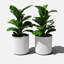 Pot à fleurs rond Demi Series-86823201-83894856-83894853