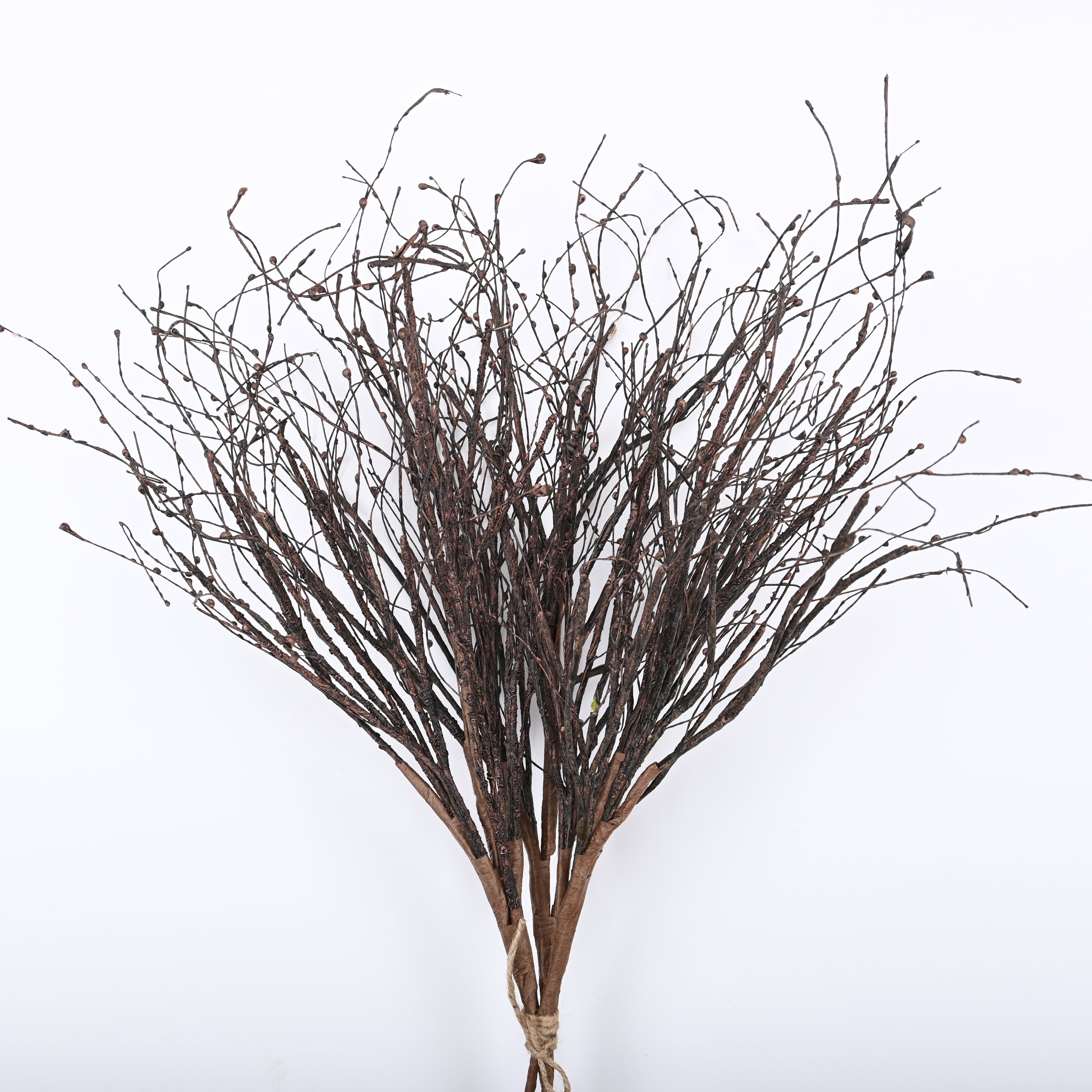 30 Birch Twigs Decorative Branches