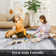 Bilroy Washable Geometric Indoor Rug