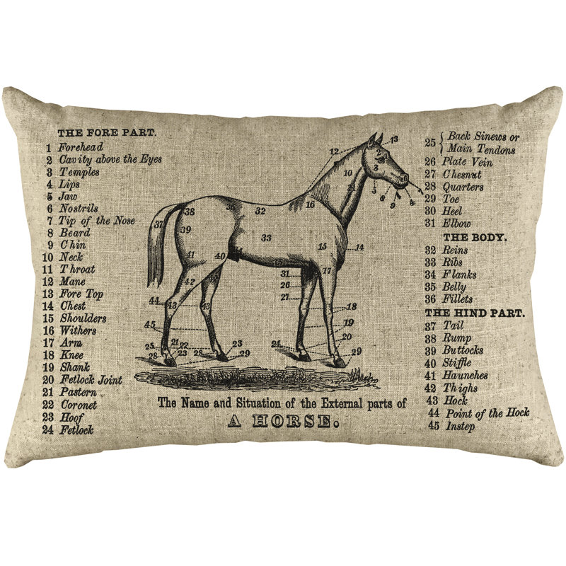 Linen Throw Pillow