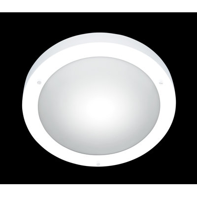 1 Light Ceiling Spotlight
