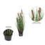 Herbe droite artificielle et quenouilles-22996683