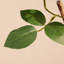 Rosier artificiel en pot Adcock Premium-54968080-54968086