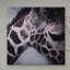 Giraffe ii, reproduction de photo sur toile tendue-74299020-74299021-74299022