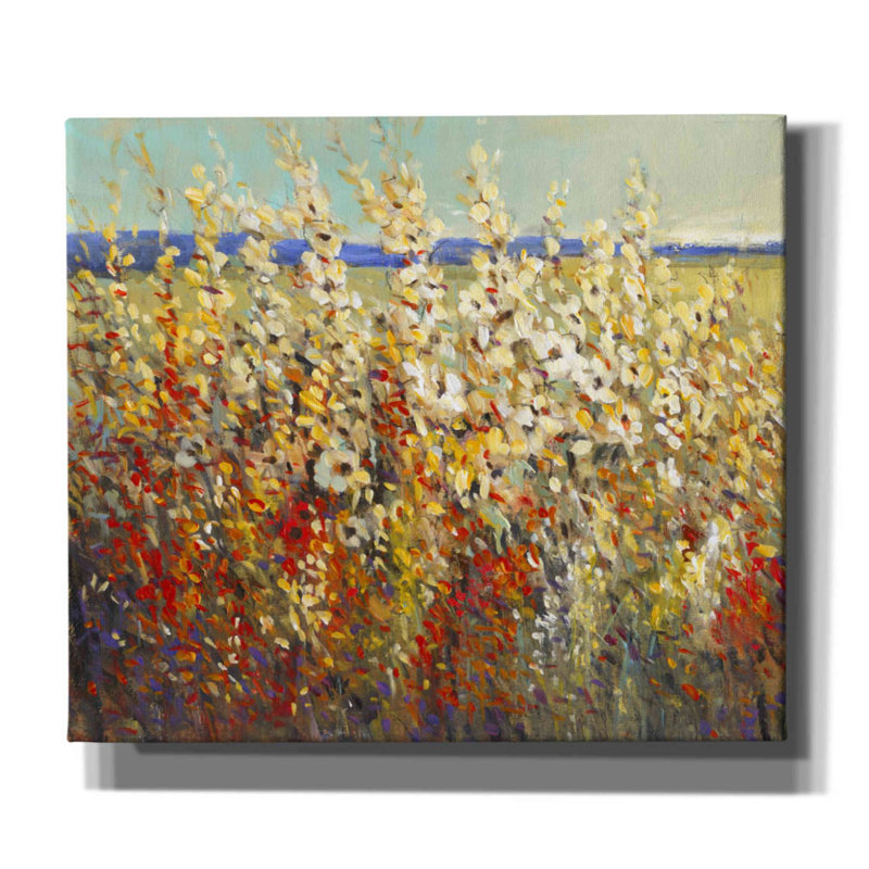 «Field of Spring Flowers II» par Tim O'toole, art mural sur toile, H 26 po x l 30 po x P 1,5 po