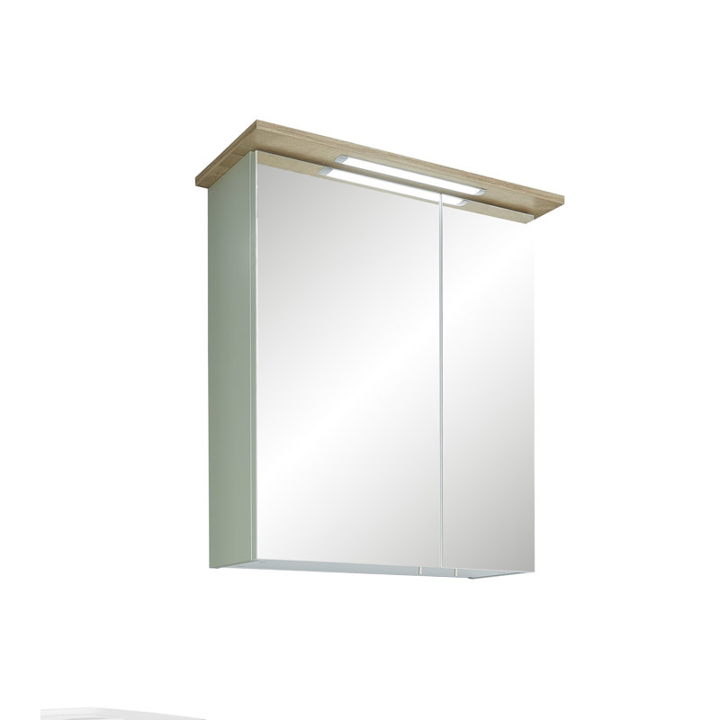 600mm W 720mm H Surface Framed Medicine Cabinet Mirror 2 Adjustable