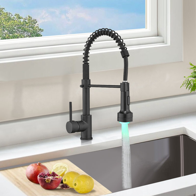 Robinet de cuisine à poignée simple Topcraft