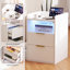 40 cm W 2 -Drawer Filing Cabinet-1481984219