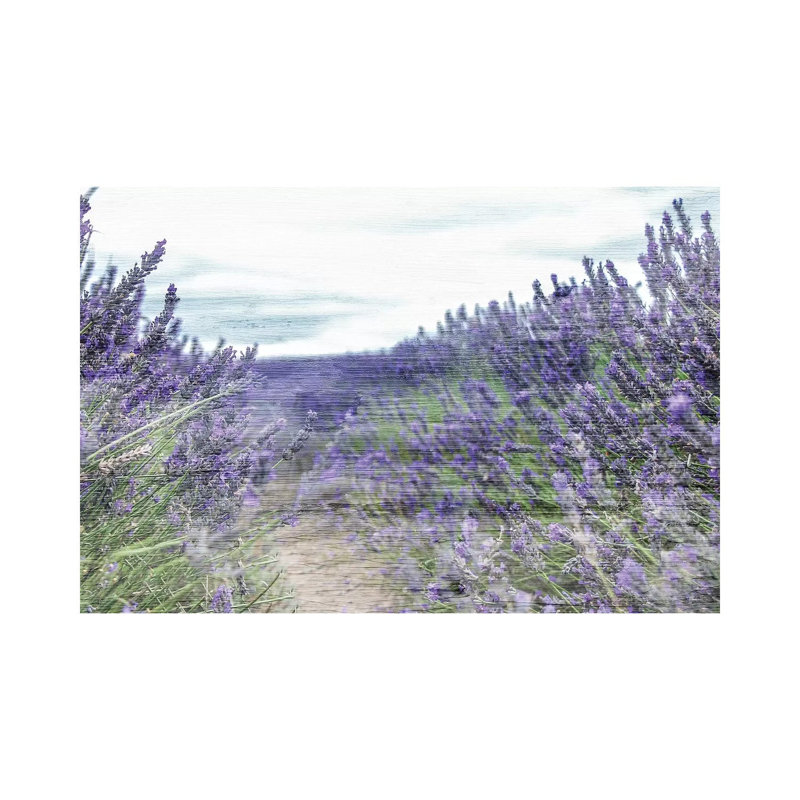 Lavender Field by Kimberly Allen - Wrapped Canvas Gallery-Wrapped Canvas Giclée, 45.72cm H x 45.72cm W