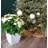 Aria Square Self Watering Planter-992594899-992594896