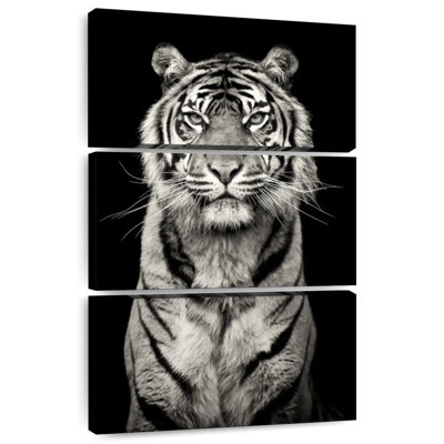 Brampt Powerful Tiger Portrait