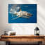 Requin-107668488