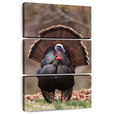 Brampt Strutting Tom Turkey