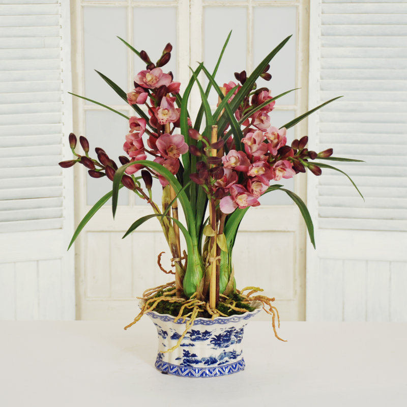 Cymbidium Orchid In Oval Pot, Orchid