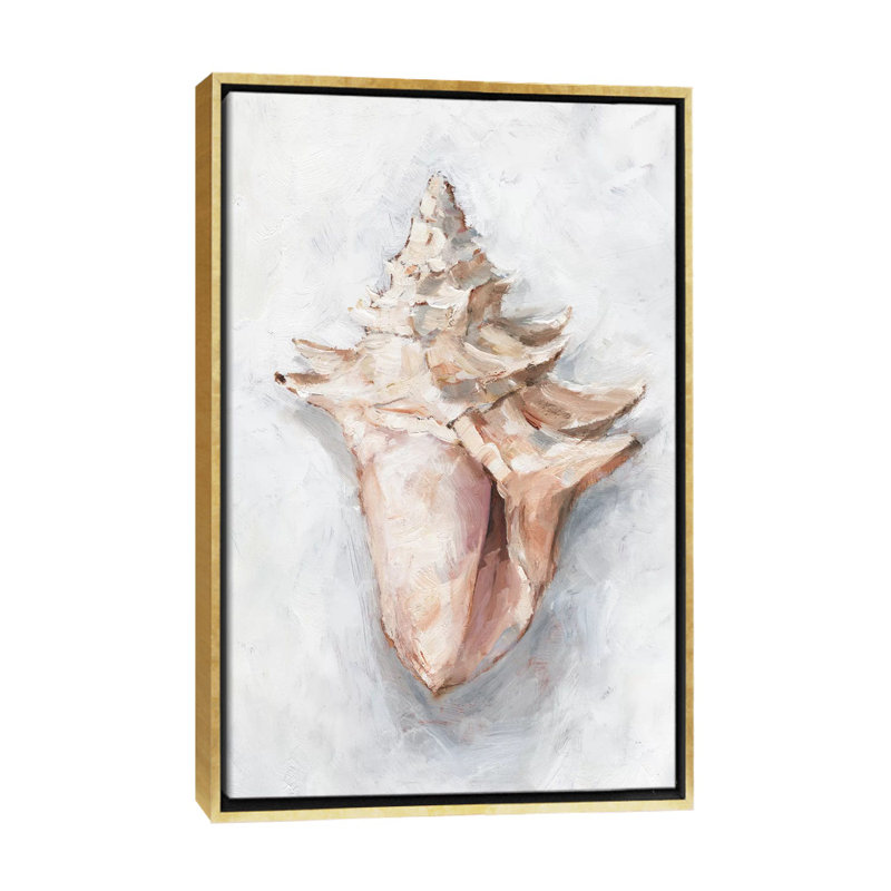 "White Shell Study I" par Ethan Harper, reproduction d’art, H 26 po x l 18 po x P 1,5 po, Pas de tapis, Toile encadrée d'or