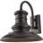 Redding Station Medium LED Lantern from Generation Lighting -18824281-18824284