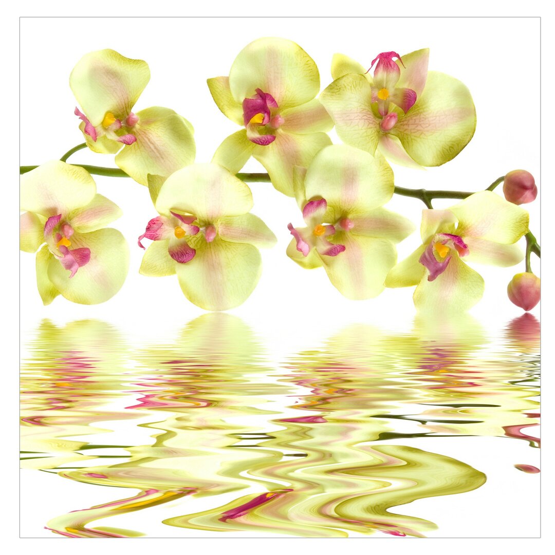 Halbglänzende Tapete Dreamy Orchid Waters