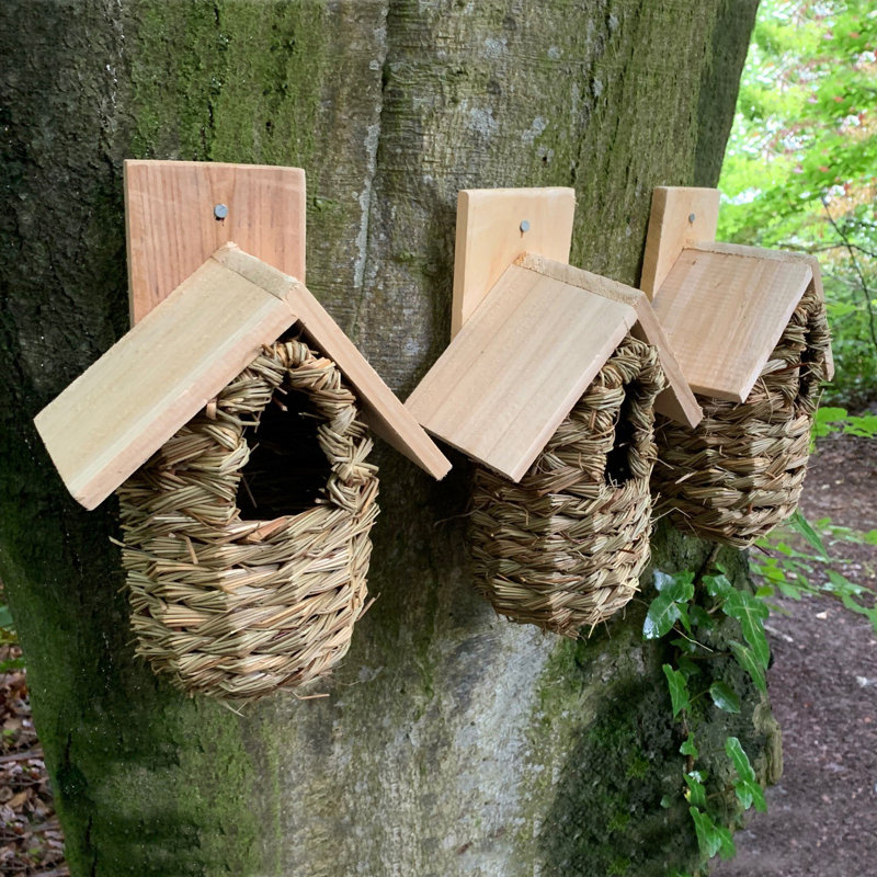 Seagrass Mounted Bird House