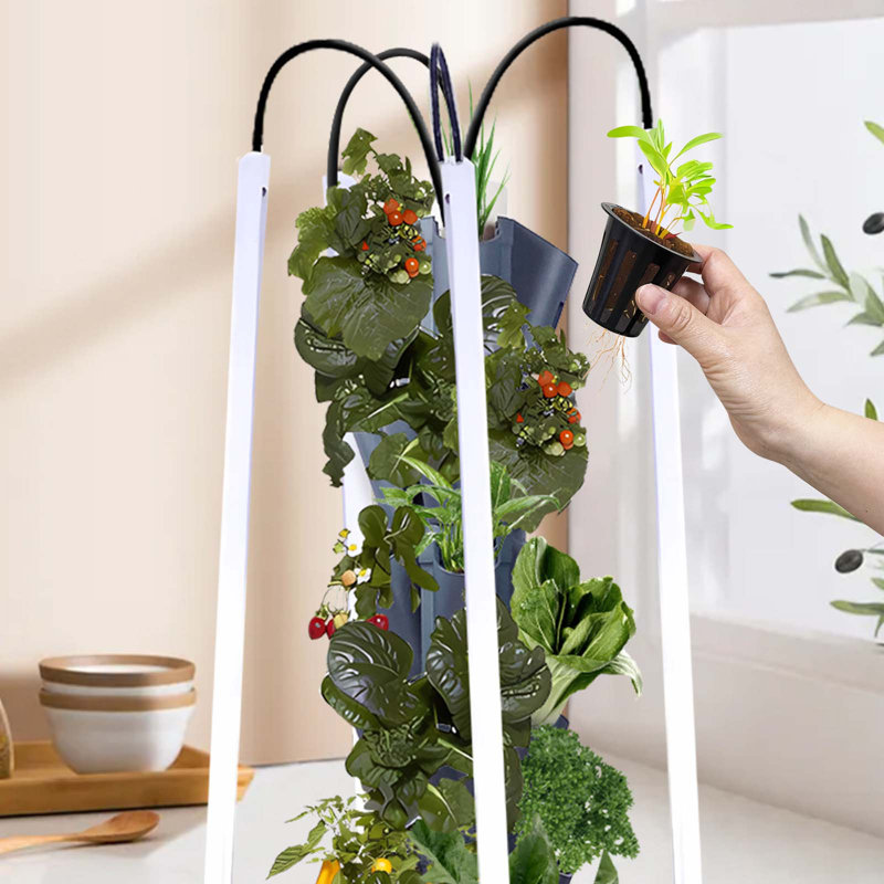 Unité hydroponique PORRHINO avec fruits / légumes