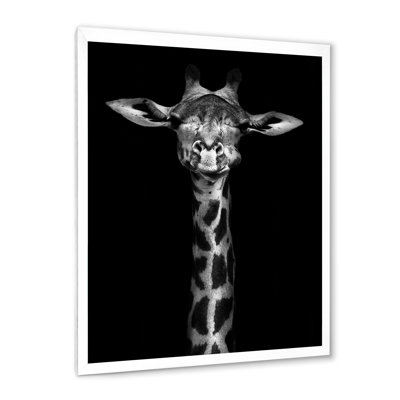" Portrait Of A Giraffe In Black And White "