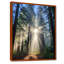 «God Rays Sunshine Through The Trees», impression d'art mural séquoia-1041077668-1041077669