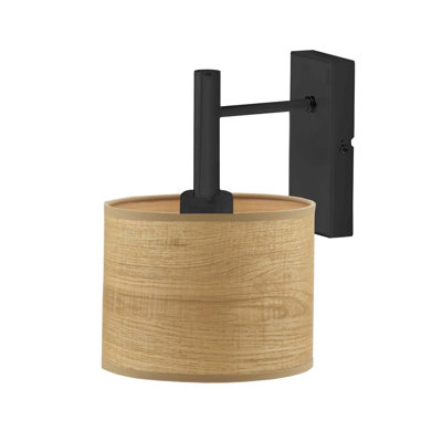 Blaike-Emey Steel Armed Sconce