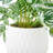 Elements Artificial Stripped Pothos Plant, 9 Inch