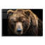 «Brown Bear» par Epic Portfolio, art mural en verre acrylique-1255913930