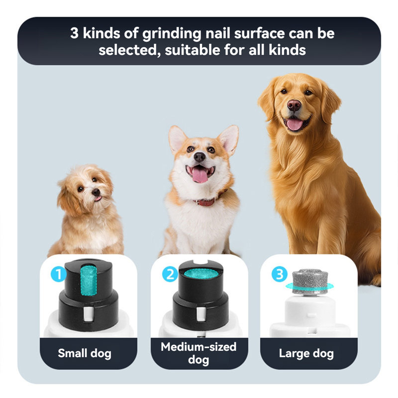 Tondeuse pour chien rechargeable