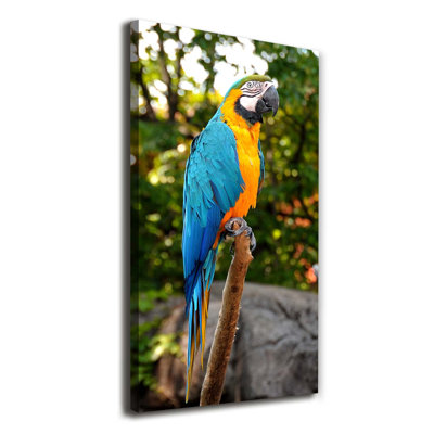 Ara Parrot - Wrapped Canvas Print