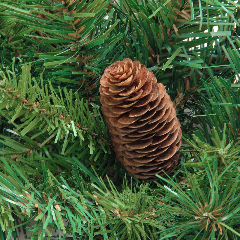 Guirlande Dakota Red Pine, H 16 po x l 16 po x P 108 po, 290