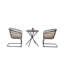 Ensemble de 2 chaises de salle à manger d'extérieur avec structure en osier, base en métal en forme de C, coussins amovibles pour patio, balcon et jardin