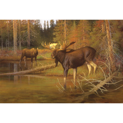 Tapis d'entrée antidérapant Gholston Moose Intruder 26 po x 18 po