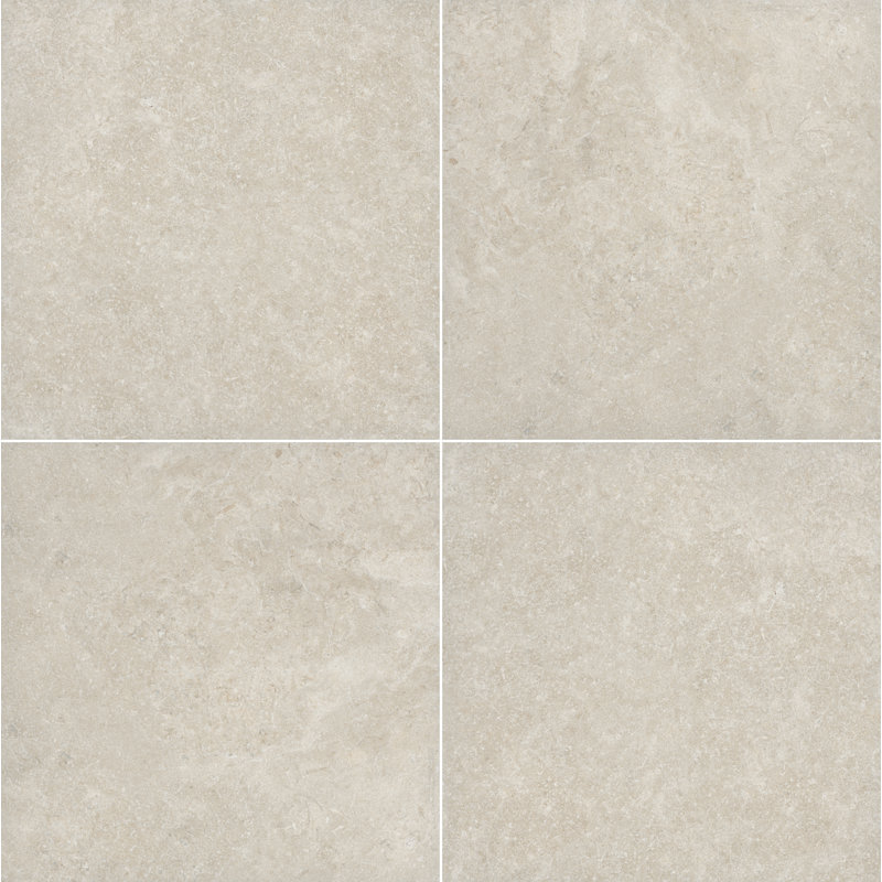 Westvale 24 in. x 24 in. x 0.79 in. Matte Porcelain Stone Look Paver (4 sq. ft./unit, 2 Pieces), Shell