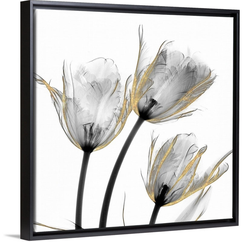 «Gold Embellished Tulips 2» par Albert Koetsier, reproduction d'art sur toile, H 22 po x l 22 po x P 1,75 po, Cadre noir