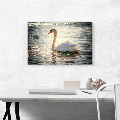 Swan in Lake - Reproduction de photo sur toile tendue