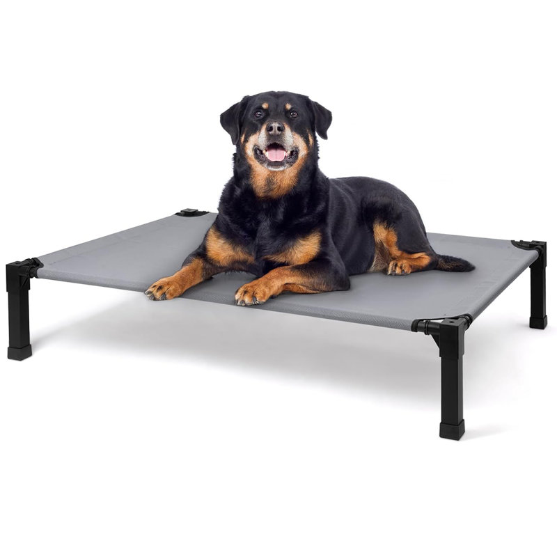 Gray Elevated Cooling Dog Bed with Steel Frame