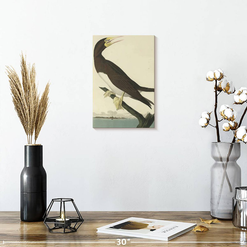 Brampt Booby Gannet, 12" H x 8" W